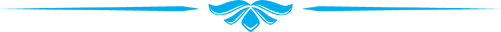 Sky-Chauffeured-cars-line